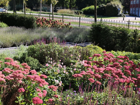 Voortuin met karakter