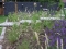 thumb Stoere tuin
