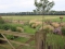 thumb Van boomgaard naar prairietuin